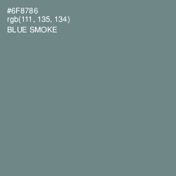 #6F8786 - Blue Smoke Color Image
